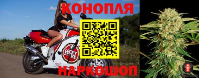 прущие грибы Кумертау