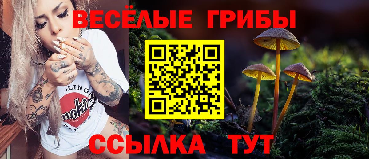 Воронеж  Псилоцибиновые грибы мухоморы  Вход с VPN 