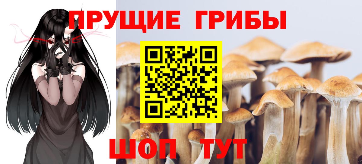 Псилоцибиновые грибы Cubensis Воронеж